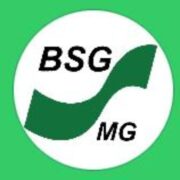 (c) Bsg-mg.de